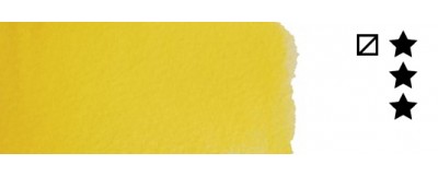 209 Cadmium Yellow Rembrandt gr I tubka 10 ml
