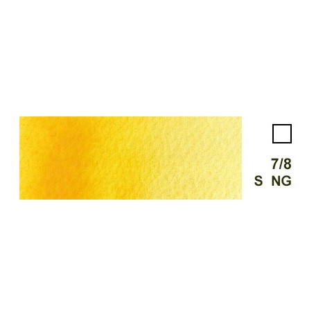 205 Benzymidazole Yellow - Aquarius akwarela Roman Szmal