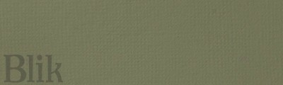 Liquitex Basics 118ml 205 Green Gray