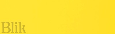 Liquitex Basics 118ml 981 Fluorescent Yellow