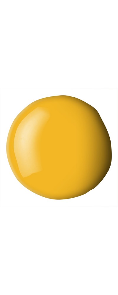 163 Cadmium yellow deep hue, farba akrylowa Liquitex Basics Fluid 118ml