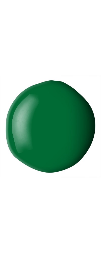224 Hookers green hue permanent, farba akrylowa Liquitex Basics Fluid 118ml