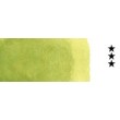 620 Olive Green akwarela kostka Van Gogh