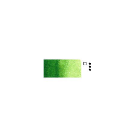 623 Sap green akwarela Rembrandt tubka 5 ml