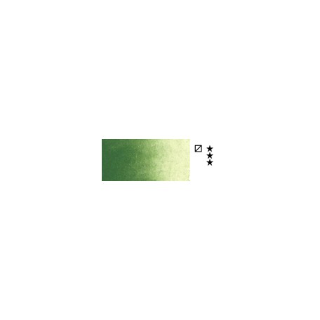 668 Chromium oxide green akwarela Rembrandt tubka 5 ml